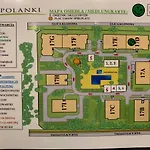 Polanki D409